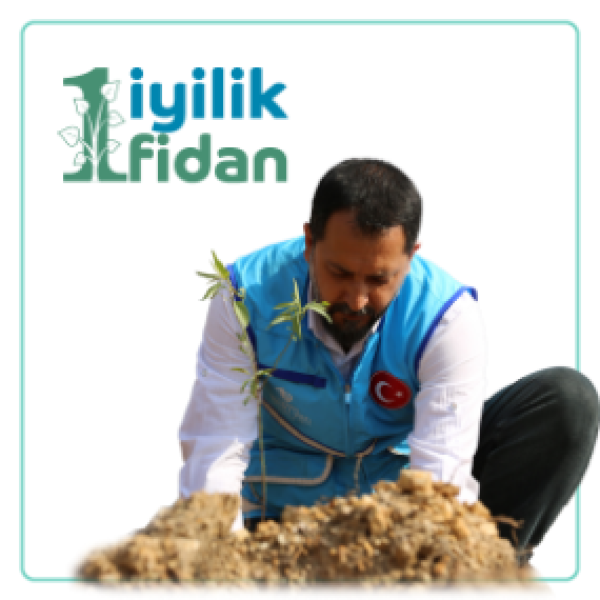 Bir Ağaç, Bir İyilik